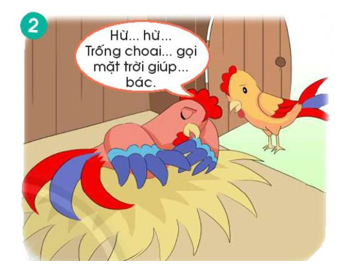 Chuyện gì đã xảy ra với bác gà trống? (ảnh 1)