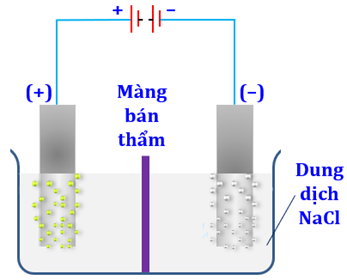 Điện phân dung dịch NaCl có màng bán thấm ngăn giữa anode với cathode (các điện cực đều là các điện cực trơ). (ảnh 1)