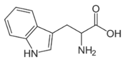 Điểm đẳng điện (pI) là giá trị pH tại đó một amino acid tồn tại chủ yếu dưới dạng ion lưỡng cực, tức là mang đồng thời điện tích dương và âm nhưng tổng điện tích bằng không (ảnh 1)