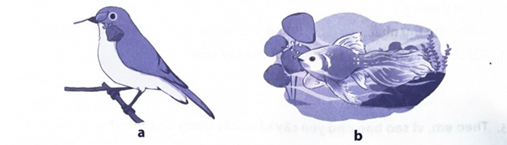 A blue and white bird with a fish in the background

AI-generated content may be incorrect.