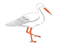 Viết chữ “cá, cò, cô, ca” dưới hình phù hợp. (ảnh 2)