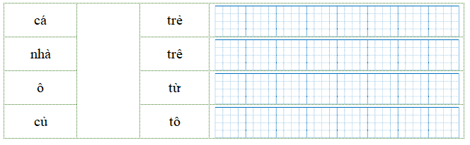 Nối đúng rồi viết lại từ ngữ: (ảnh 1)