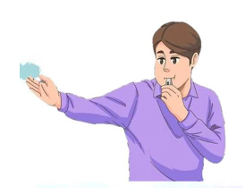 Chọn từ viết đúng chính tả.   A. guýt còi. B. hít còi C. tuýt còi. (ảnh 1)