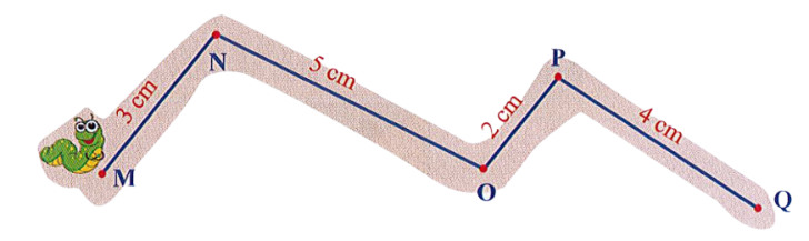 Để đi đến được điểm P, bạn Sâu phải đi hết quãng đường dài là: (ảnh 1)