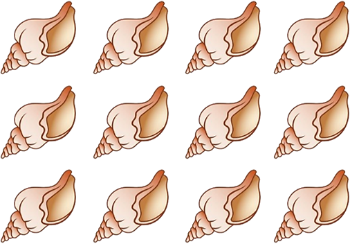 Hãy khoanh tròn vào 1/2 số vỏ sò trong mỗi hình: (ảnh 1)