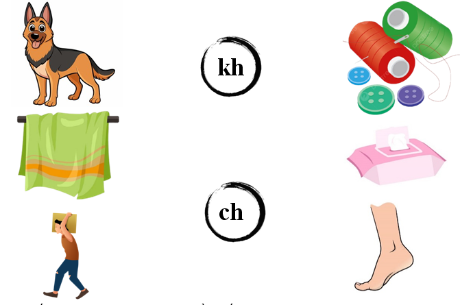 Nối đúng kh ch (ảnh 1)