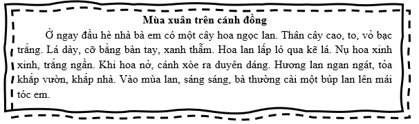 Thân cây ngọc lan như thế nào? (ảnh 1)