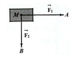 Cường độ của lực tác động lên vật là bao nhiêu newton? (ảnh 1)