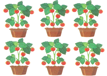 Quan sát bức tranh, viết phép nhân hoặc phép chia thích hợp: (ảnh 1)