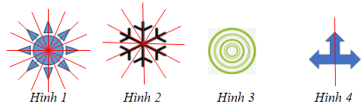 Trong các hình sau, hình nào có vô số trục đối xứng? (ảnh 2)