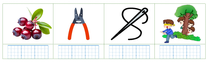 Viết các từ “quả sim, kim chỉ, trốn tìm, cái kìm” dưới hình phù hợp: (ảnh 1)