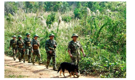 Chọn từ phù hợp với tranh.   A. chiến đấu. B. tuần tra (ảnh 1)