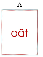 Điền vào chỗ trống.   vòng ng……… quế (ảnh 2)