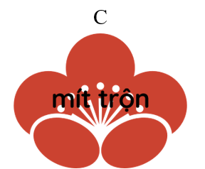 Từ nào dưới đây chứa vần “ôn”: (ảnh 3)