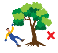 Look at the picture and choose the letter A, B, C or D to complete the sentences.He __________ climb a tree. (ảnh 1)