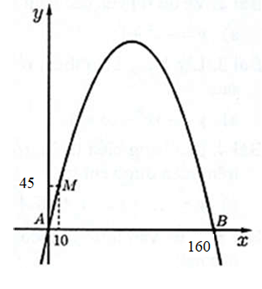 Khoảng cách từ mặt đất đến điểm cao nhất của cổng là bao nhiêu mét? (ảnh 2)