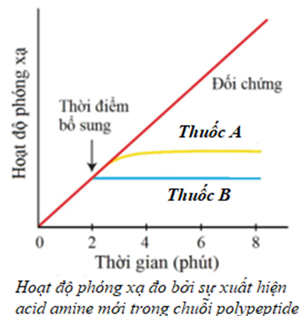 Thuốc kháng sinh A có khả năng ức chế tổng hợp protein nhưng không ảnh hưởng đến sự tổng hợp DNA hoặc RNA (ảnh 1)