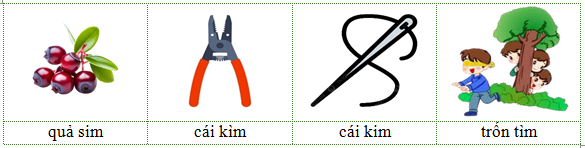 Viết các từ “quả sim, kim chỉ, trốn tìm, cái kìm” dưới hình phù hợp: (ảnh 2)