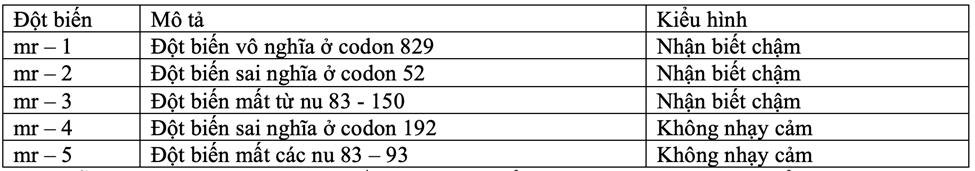 Ở một quần thể người giả định, khả năng đọc được ý nghĩa do gene mr quy định. Hầu hết ở người quần thể này có thể đọc được ý nghĩa (ảnh 1)