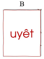 Điền vào chỗ trống.   vòng ng……… quế (ảnh 3)