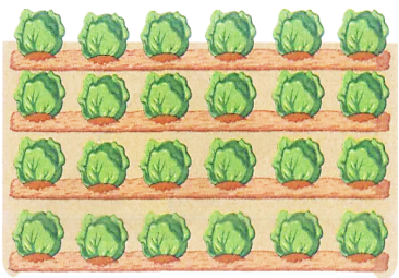 An bị ốm nên mẹ đưa An đi khám. Sau khi thăm khám, bác sĩ đưa cho An một hộp thuốc và dặn An: mỗi ngày uống 3 lần, mỗi lần uống 4 viên thuốc. Hỏi mỗi ngày An cần uống bao nhiêu viên thuốc?  (ảnh 1)