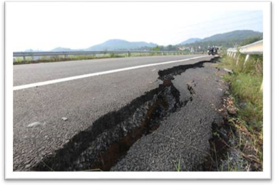 Chọn từ ứng với hình ảnh sau (ảnh 1)