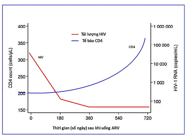 Hợp chất AZT (3-azido-2,3-dideoxythymidine) thường được sử dụng để điều trị cho các bệnh nhân mắc hội chứng suy giảm miễn dịch mắc phải (AIDS). (ảnh 1)