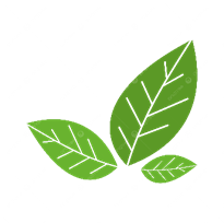 Nối đúng: a (ảnh 2)