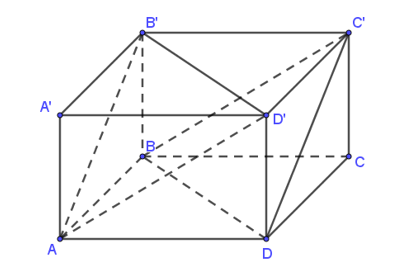 Cho hình hộp ABCD.A'B'C'D'. Mặt phẳng AB'D' song song với mặt phẳng nào sau đây (ảnh 1)