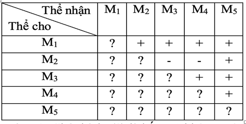Người ta phân lập được 5 thể đột biến liên quan đến operon trp. Tiến hành phân tích DNA của các thể đột biến (ảnh 1)