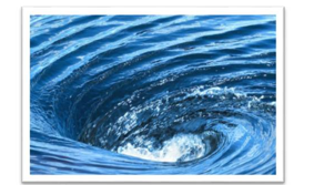 Chọn từ ứng với hình ảnh sau (ảnh 1)