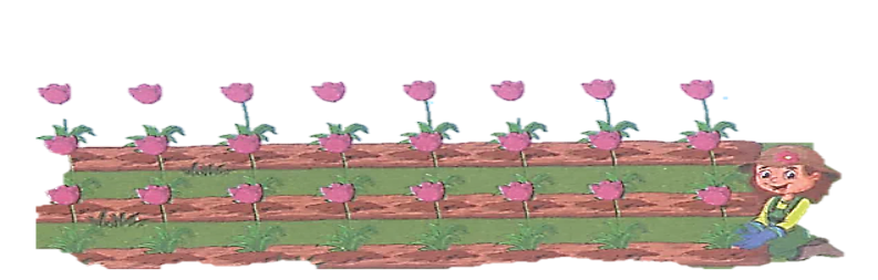 Số ? 1/3 số bông hoa là ….. bông hoa. 1/8 số bông hoa là ….. bông hoa. (ảnh 2)