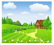 Look at the picture and choose the letter A, B, C or D to complete the sentences.I was in the ___________ last summer. (ảnh 1)