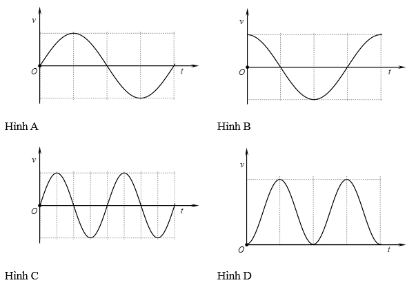Vật nặng của một con lắc lò xo di chuyển lên xuống sau khi được kích thích dao động tại thời điểm t = 0. Đồ thị biểu diễn li độ của vật nặng theo thời gian được cho như hình vẽ.Đồ thị n (ảnh 2)