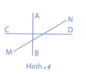Hình A có: - Đường thẳng AB vuông góc với đường thẳng CD (ảnh 1)