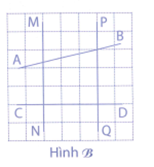 Hình B có: - Đường thẳng MN vuông góc với đường thẳng CD. (ảnh 1)