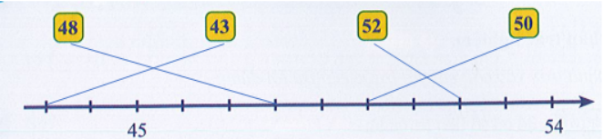 Nối vào tia số (ảnh 2)