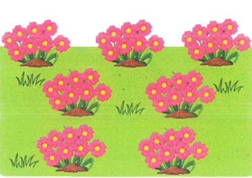  Quan sát bức tranh, viết phép nhân hoặc phép chia thích hợp: (ảnh 2)