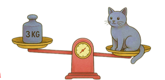 Con mèo trong hình bên nặng: A. 1 kg B. 3 kg C. 2 kg D. 4 kg (ảnh 1)