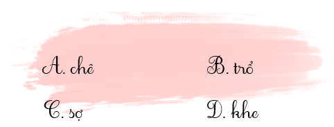 Từ nào sau đây chứa chữ “ch”? Hãy khoanh vào đáp án đúng: (ảnh 1)