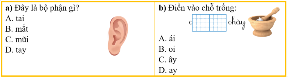 Khoanh vào đáp án đúng nhất: (ảnh 1)