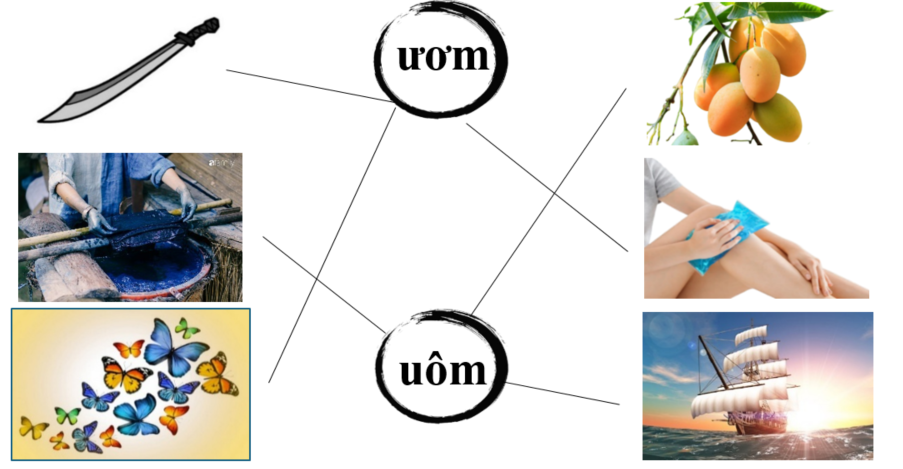 Nối đúng: ươm uôm (ảnh 2)