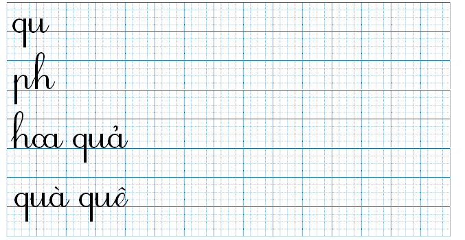 Tập viết  qu ph hoa quả quà quê (ảnh 1)