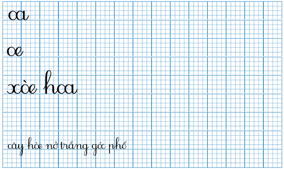 Luyện viết oa oe (ảnh 1)