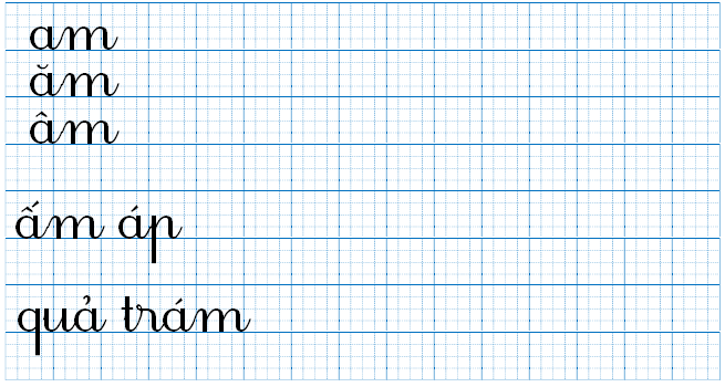 Tập viết am ăm âm ấm áp quả trám (ảnh 1)