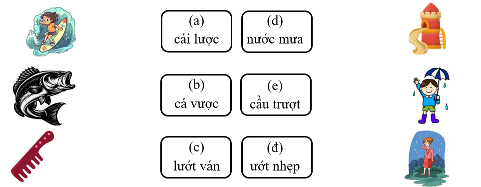 Nối đúng: cái lược (ảnh 1)