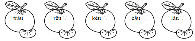 Tô màu xanh lá vào tiếng chứa vần “êu”, màu xanh dương vào tiếng chứa vần “âu”: (ảnh 1)