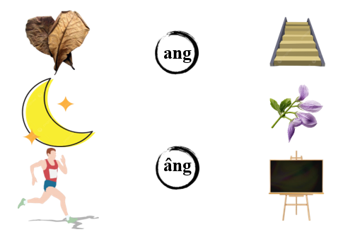 Nối đúng hình với vần (ảnh 1)