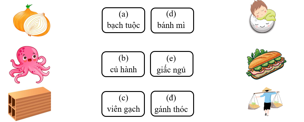 Nối đúng: các từ vào hình ảnh (ảnh 1)