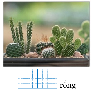 Điền vào chỗ trống: (ảnh 1)